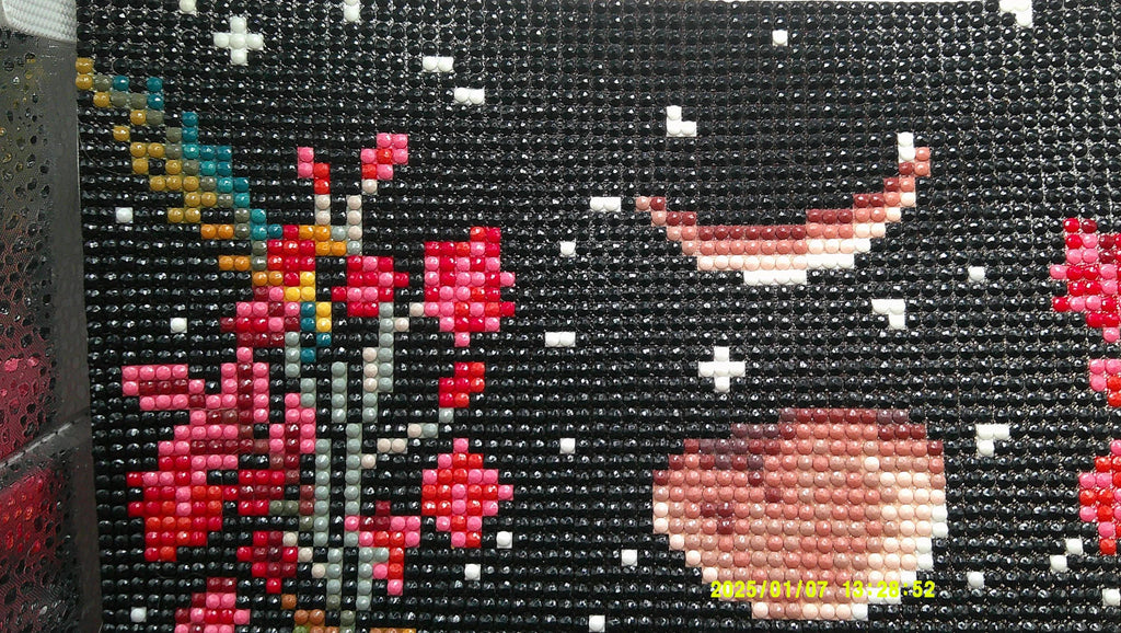 Floral Phases – Botanical Moon Cycle Art