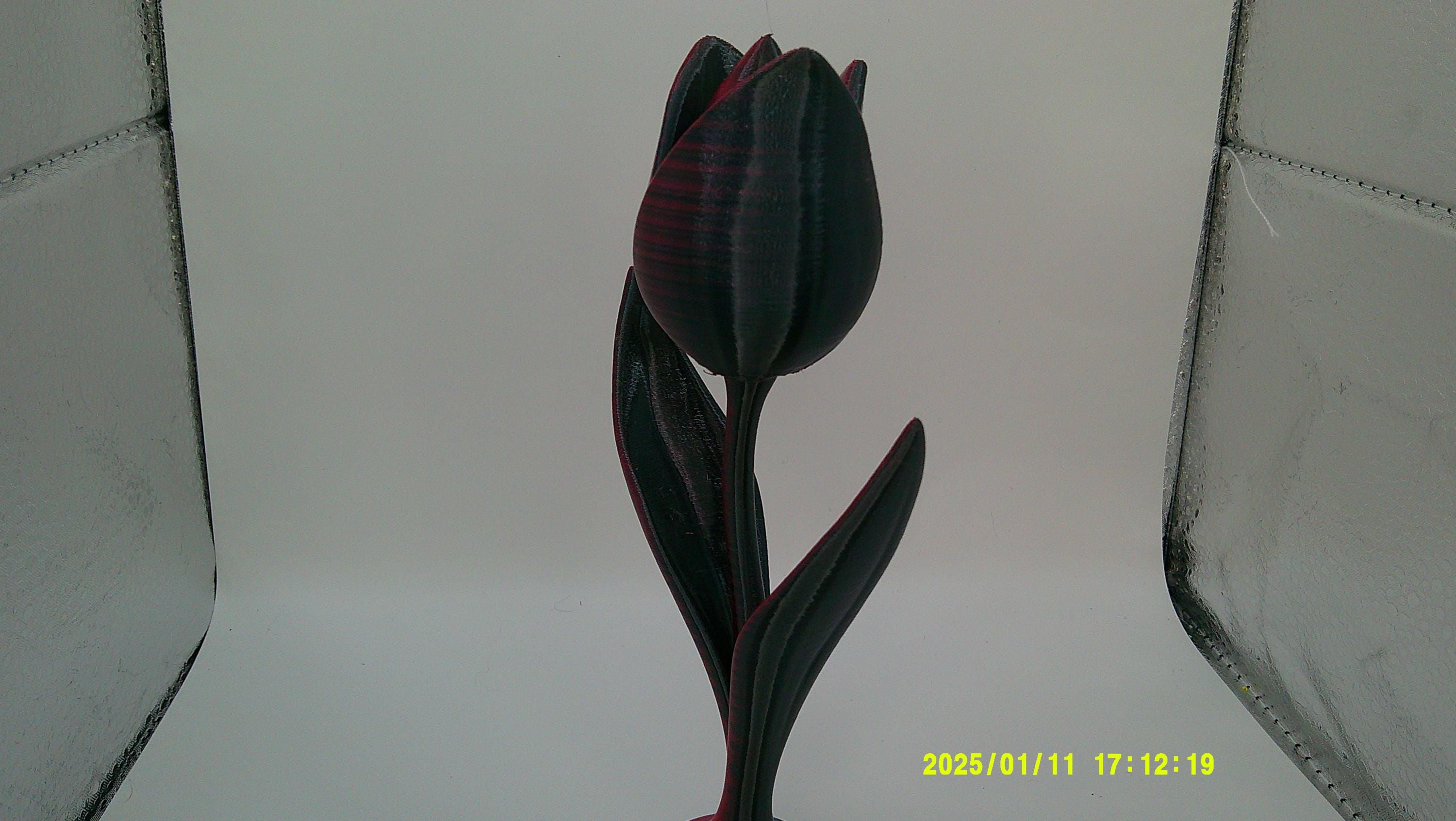 Love in Bloom – 3D Tulip Sculpture