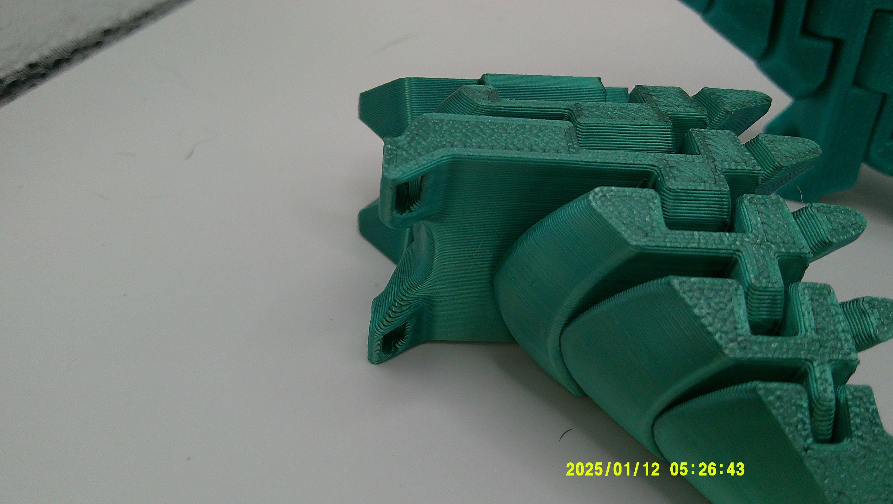 Flexi Stego Riding Buddy, 3D Printed Dinosaur Bike Companion